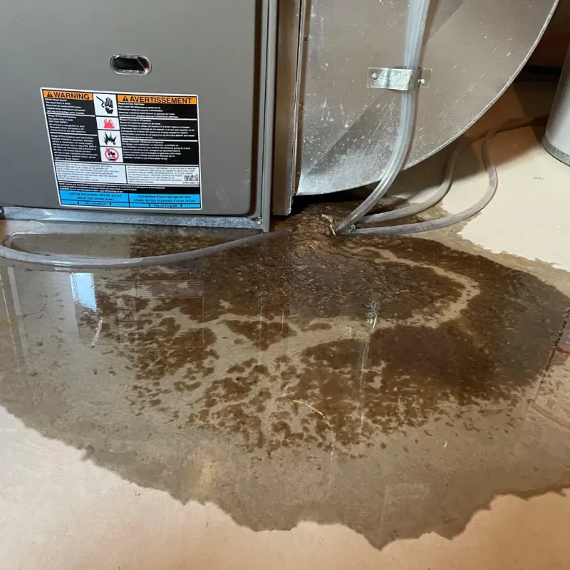 Appliance Leak Cleanup in Swift County, MN